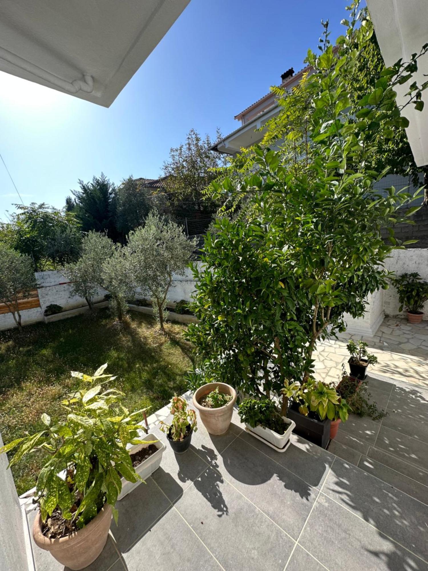 Villa Braho Gjirokaster Luaran gambar