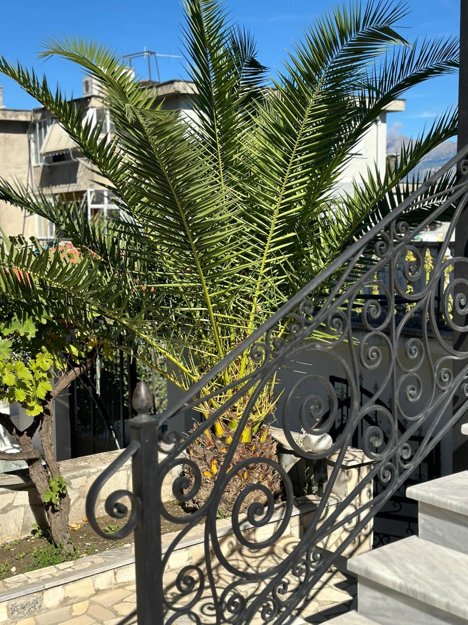 Villa Braho Gjirokaster Luaran gambar