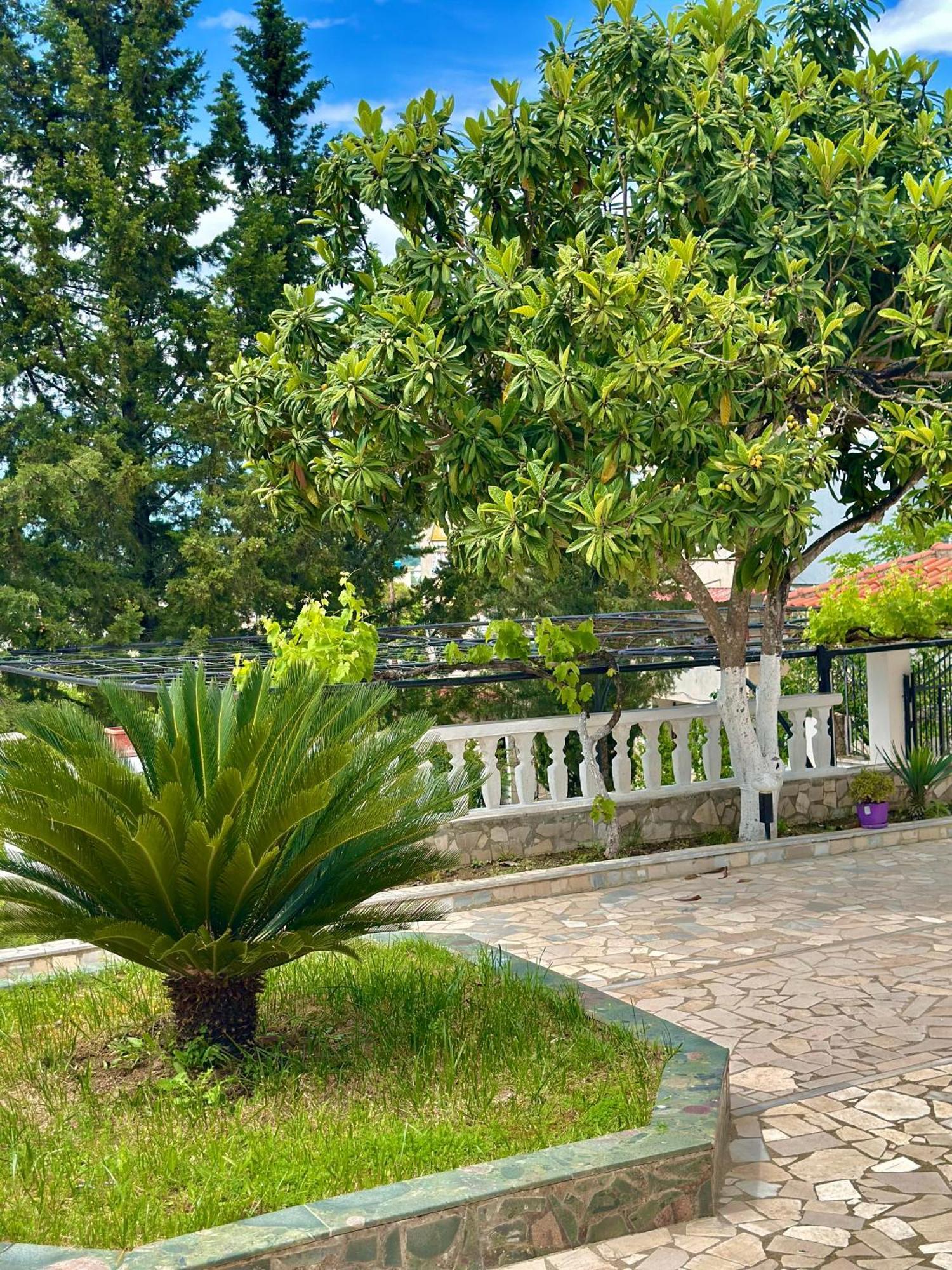 Villa Braho Gjirokaster Luaran gambar